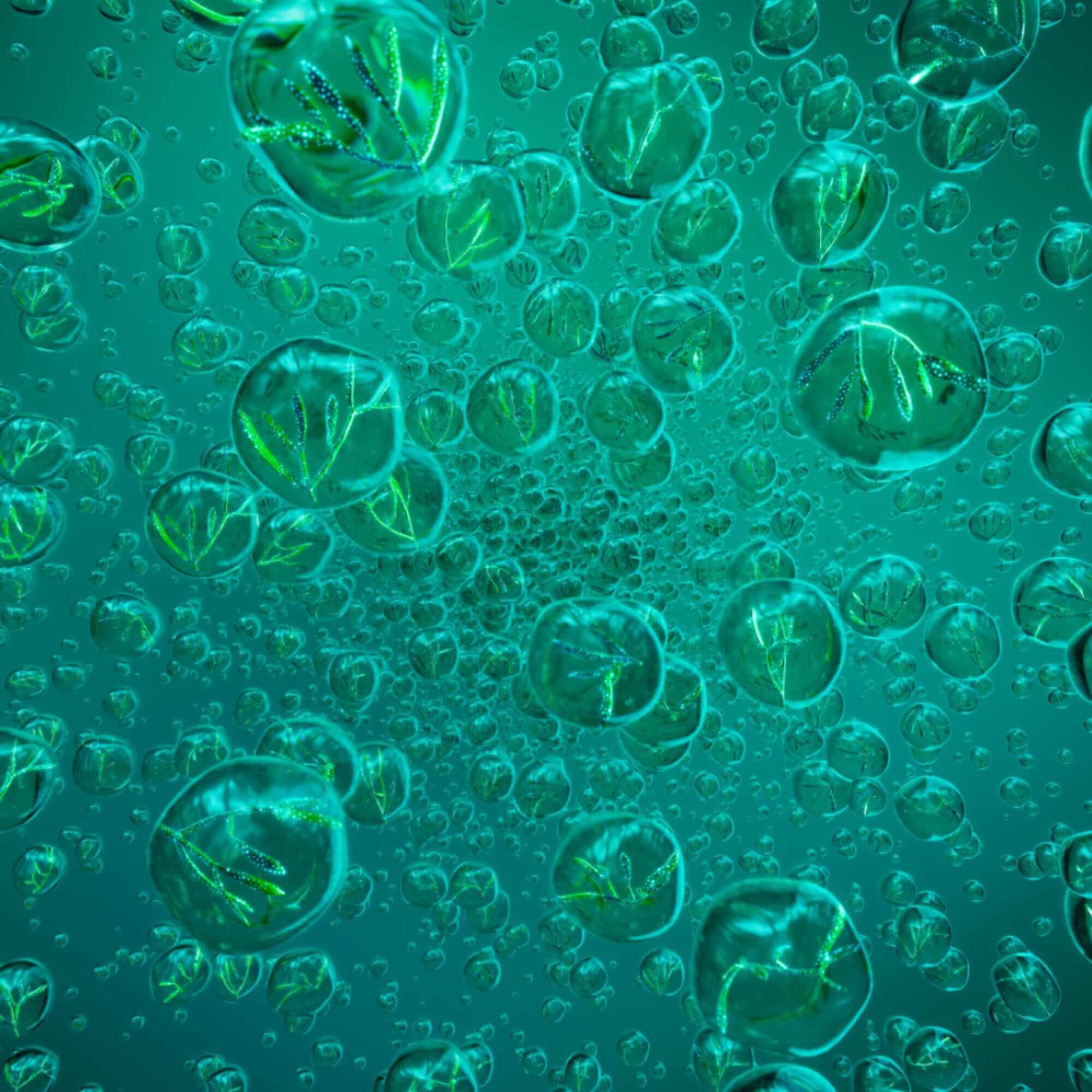 Powercell Skinmunity Youth Reinforcing Serum