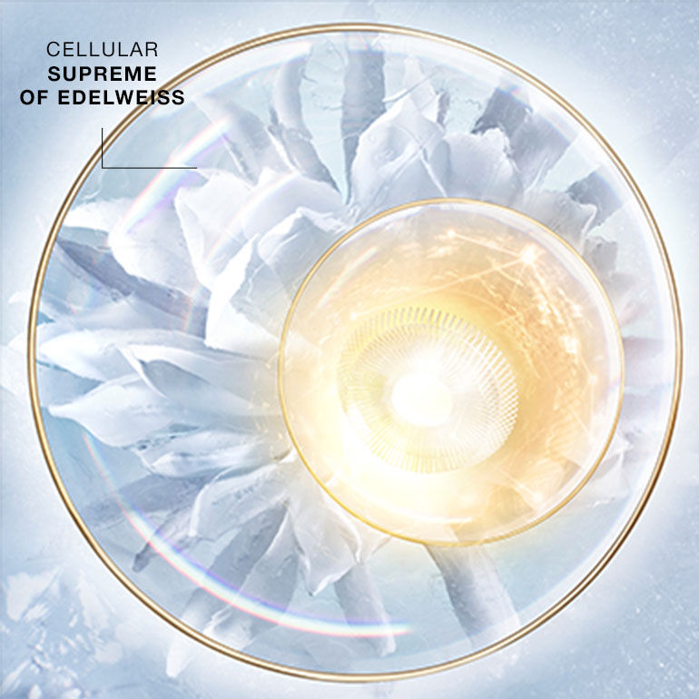 Prodigy Cellglow The Deep Renewing Concentrate