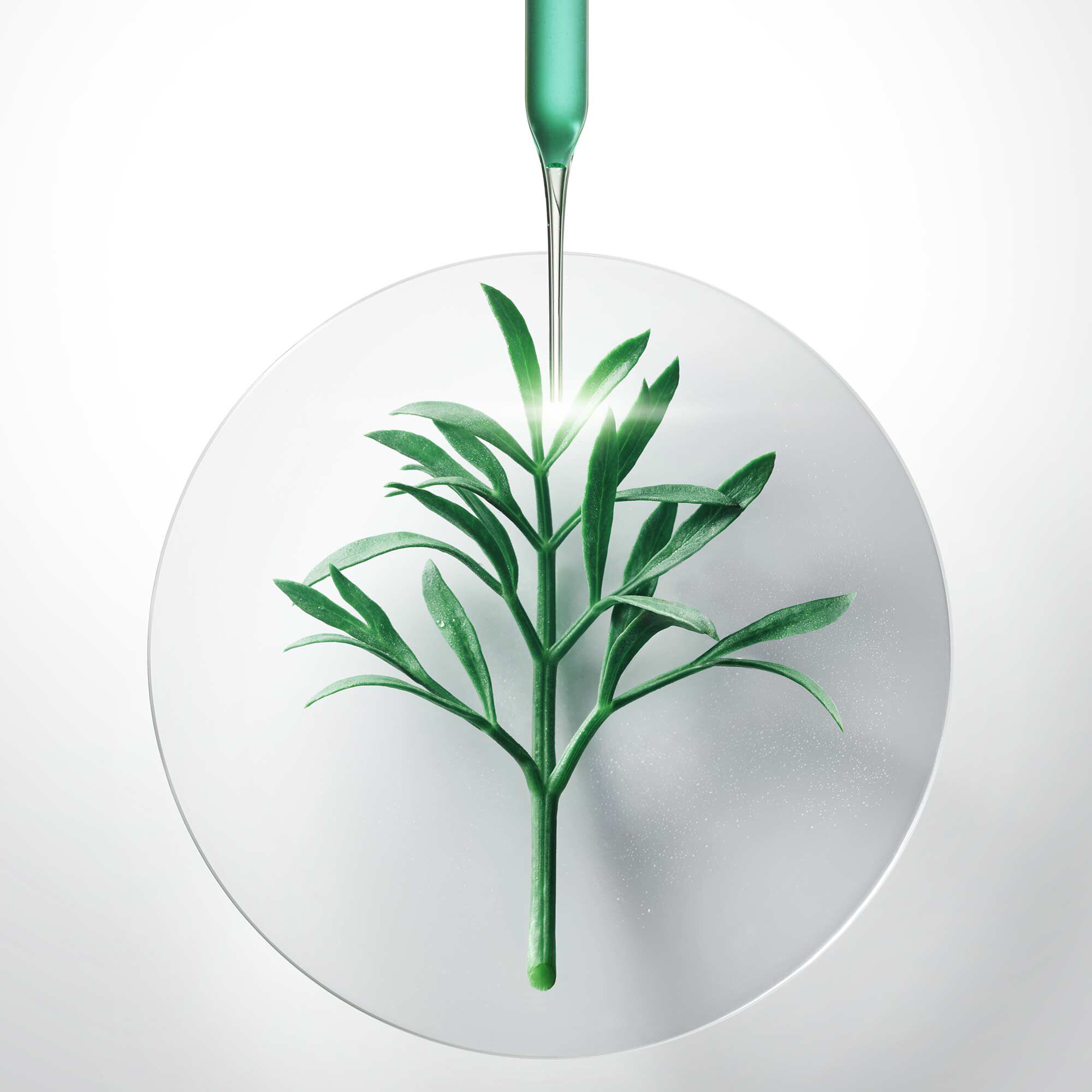 Reinforce & Recover at night 